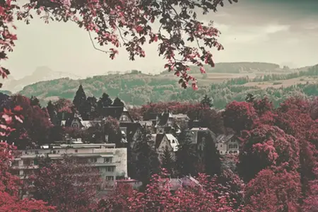 Les routes magiques de la Suède à travers l'autoroute avec une vignette