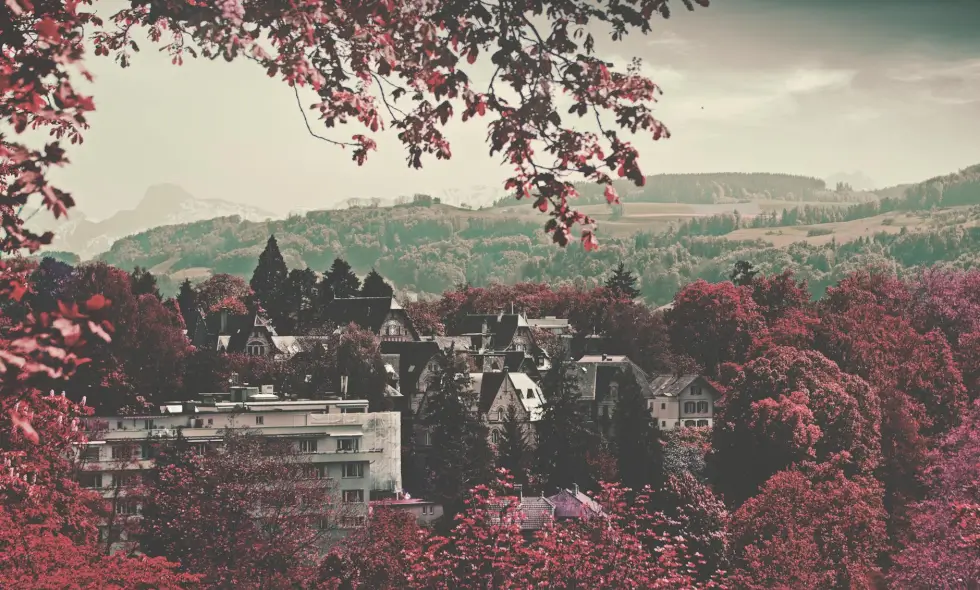 Les routes magiques de la Suède à travers l'autoroute avec une vignette Les routes magiques de la Suède à travers l'autoroute avec une vignette