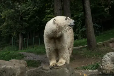 Options de transport en République tchèque sur l’autoroute avec vignette