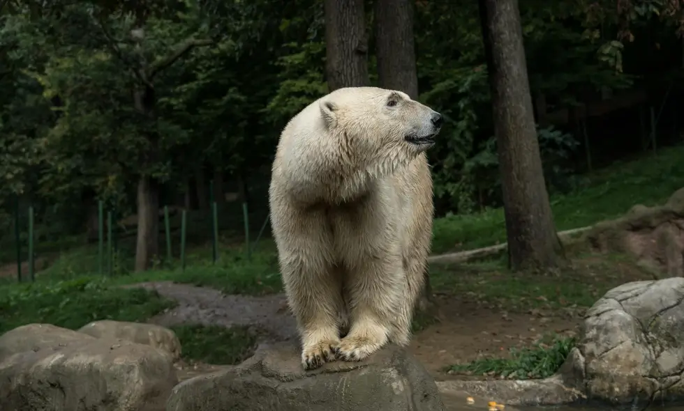 Options de transport en République tchèque sur l’autoroute avec vignette Options de transport en République tchèque sur l’autoroute avec vignette