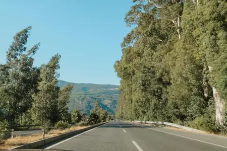 Les autoroutes de Slovénie et les informations importantes concernant l’achat de la vignette pour 2025