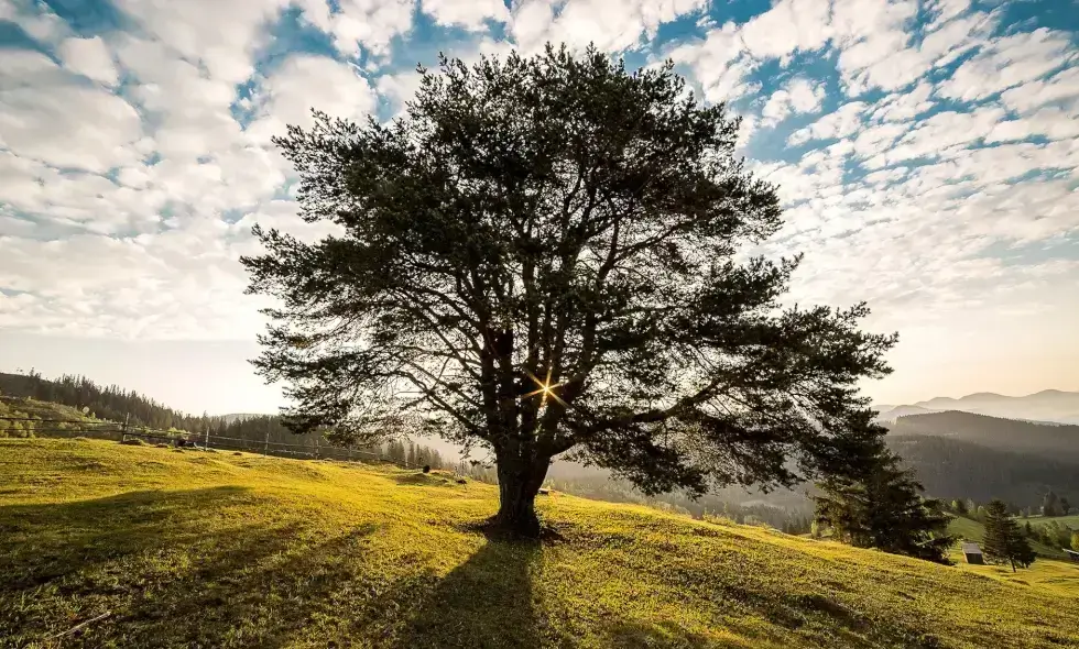 Vignette autoroute pour la Roumanie : Découvrez les attractions de la Roumanie rapidement et facilement ! Vignette autoroute pour la Roumanie : Découvrez les attractions de la Roumanie rapidement et facilement !